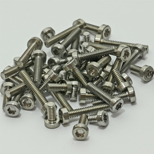 Titanium Screws